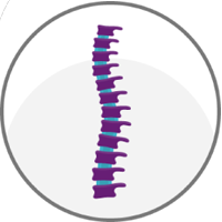 Spine icon. Click to navigate to the spine pathway page