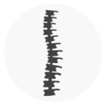 Spine & Neck