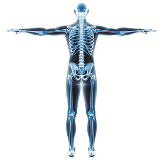 Event for GPs: Exercise & Musculoskeletal Medicine – The Way Forward