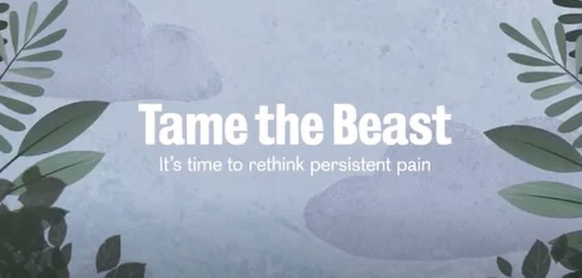 Tame The Beast — It’s time to rethink persistent pain