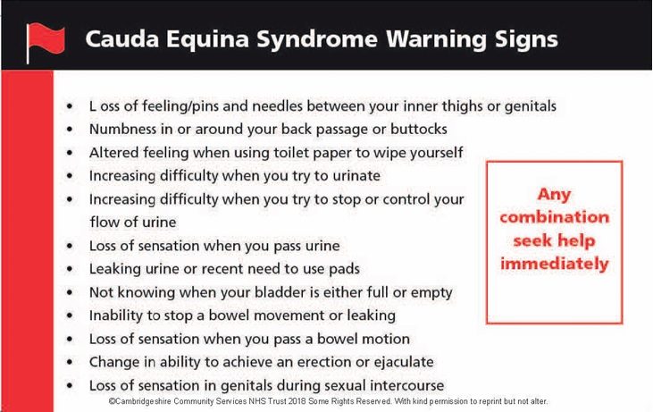 Cauda Equina Syndrome MACP Warning Card